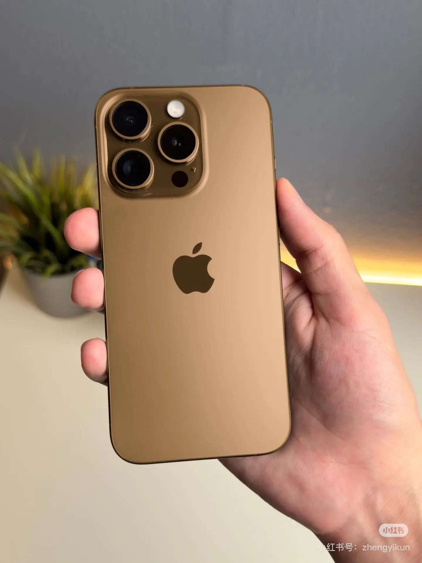 iphone 16 Pro Sabaidee Style
